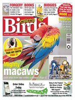Cage & Aviary Birds